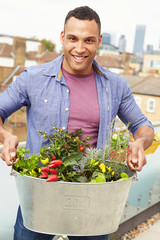 Man Holding Container Of Plants On Rooftop Garden