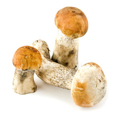 mushrooms