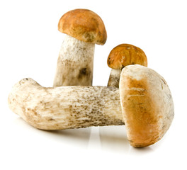 mushrooms