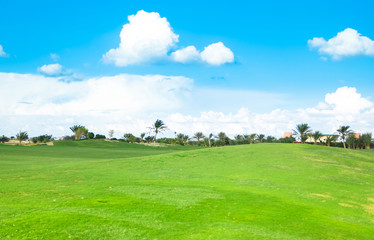 Lonesome Acres Of Green