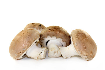Champignons