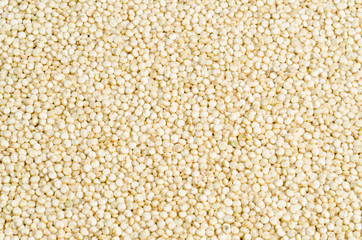 quinoa closeup, background