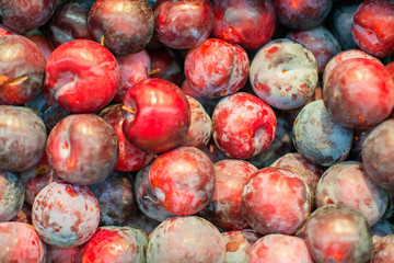 Lots of unwashed plums in supermarket.