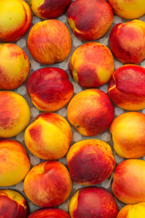 Row of ripe nectarines in supermarket.