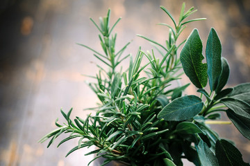Rosemary and sage 