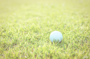 Golf ball on green grass