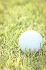 Golf ball on green grass