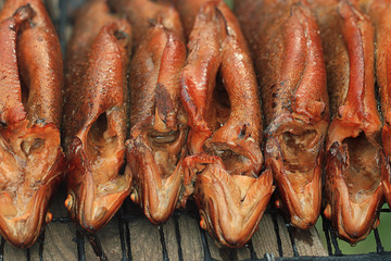 Hot smoked fish trout