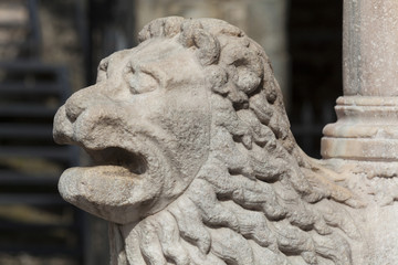 Obraz premium Lion in the city of Bergamo, Lombardy, Italy