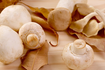Bunch of fresh white mushrooms with brown leafs
