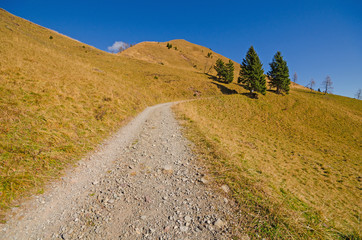 VERSO SELLA FESTONS