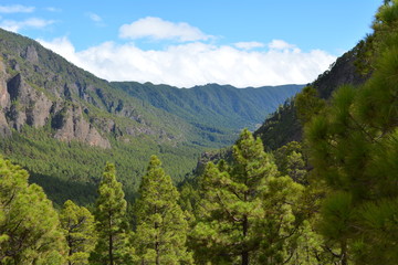 Fototapeta na wymiar Caldera de Taburiente in La Palma, Canary islands, Spain.