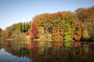beautiful autumn landscape with multicolor trees reflected on a
