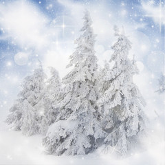 Fototapeta na wymiar Christmas background with snowy fir trees