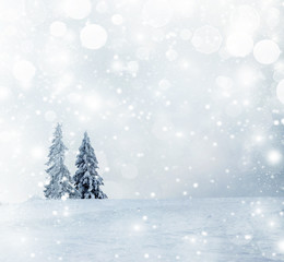 Christmas background with snowy fir trees
