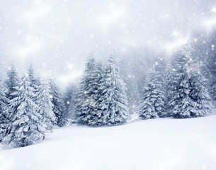 Christmas background with snowy fir trees