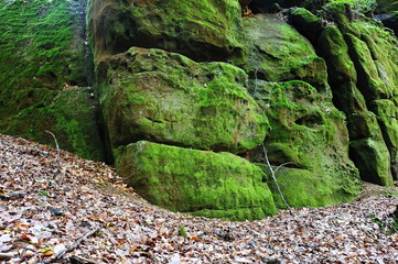 Rock with moss