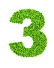 Grass number 3