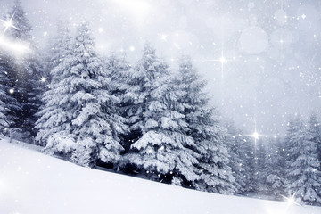 Obraz premium Christmas background with snowy fir trees