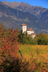 Lebenberg - Castel Monte Leone