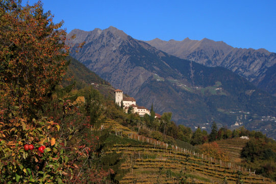 Lebenberg - Castel Monte Leone