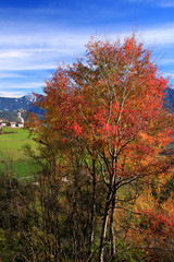 Fototapeta premium Colori del Renon