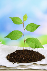 Plant growing from paper on table on bright background
