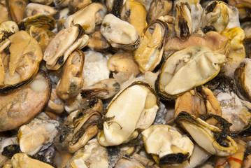Seafood - Mussels - Fish Market