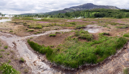 Geysers in Iceland