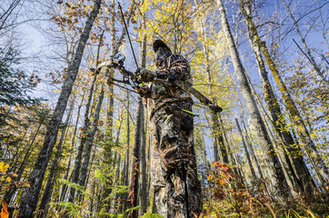 bow hunter standing