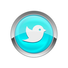 Glossy Vector Icon