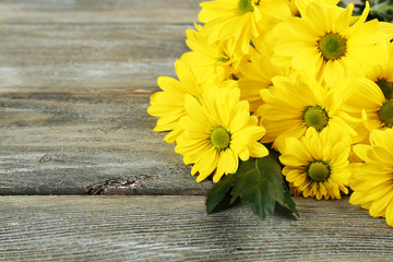 Yellow chrysanthemum on wooden background
