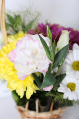 Flowers in basket on white background