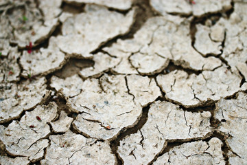 background cracked dry land, drought