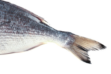 Fresh fish tail isolated on white