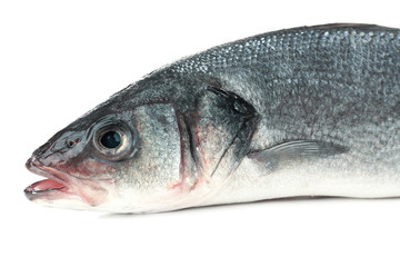 Fresh fish isolated on white