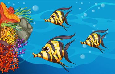 Underwater