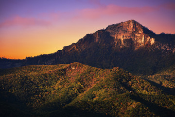 autumn trees in the mountian range