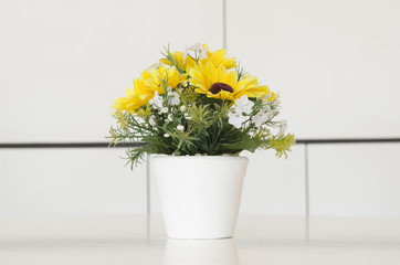 Beautiful flowerpot on the table in the office.