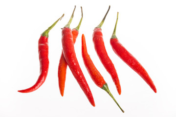 Chilies isolated on white background