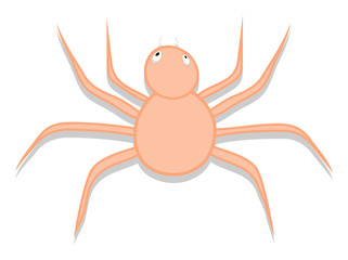 Virus Spider Bug