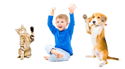 Happy boy, dog and cat together