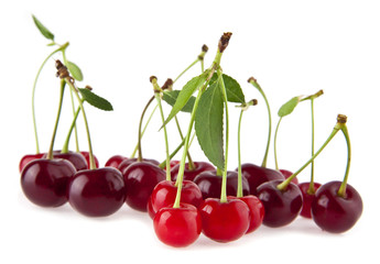 ripe cherry