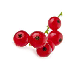 currants