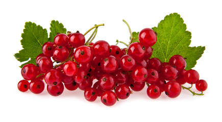 red currant