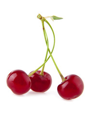 cherry