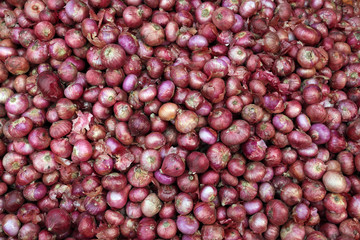 Fresh onion
