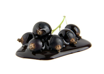 currant in chocolate