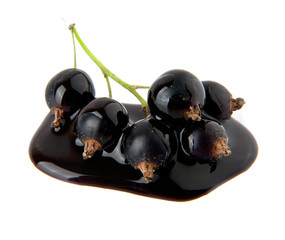currant in chocolate