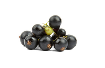 bunch of black currant on a white background